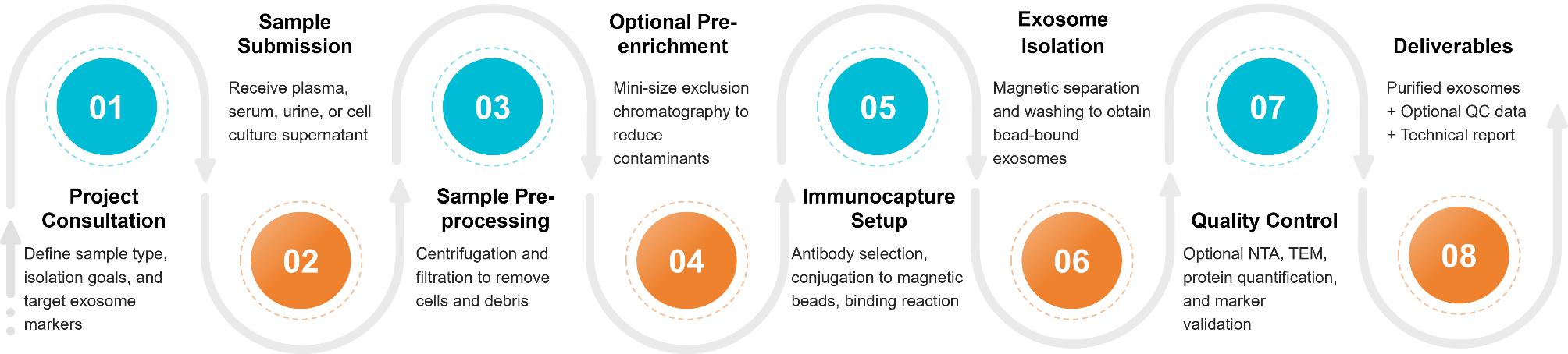 Workflow showing immunoaffinity capture of exosomes using antibody-coated beads targeting specific surface markers for selective isolation.