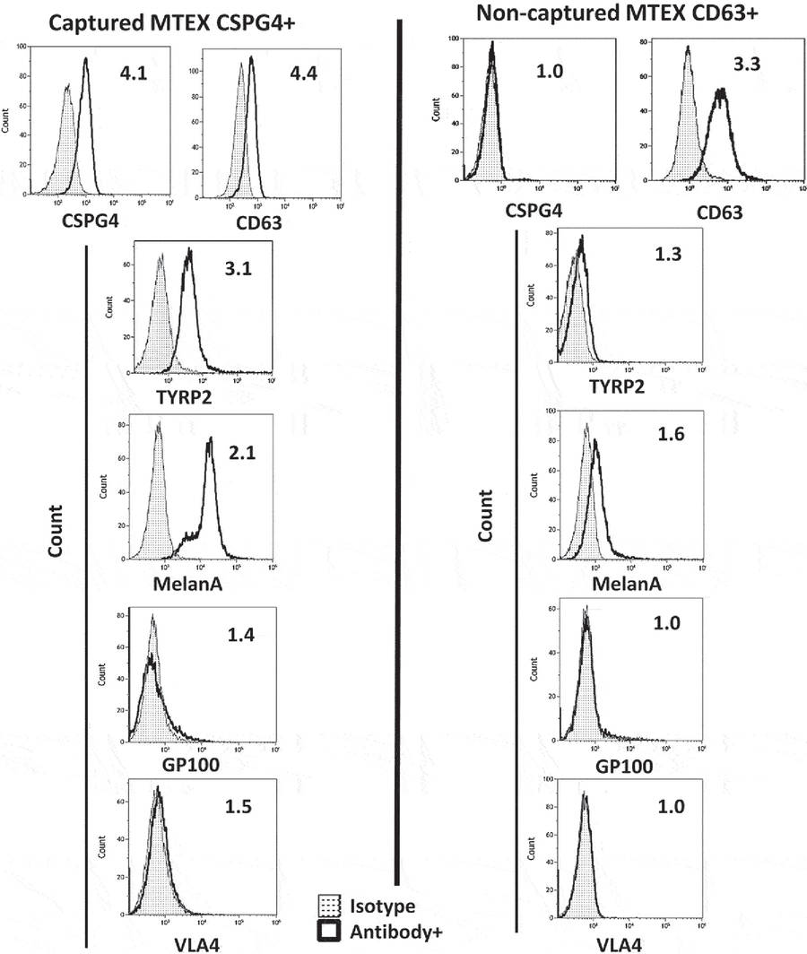Flow cytometry showing MAAs detected on CSPG4⁺ immunocaptured MTEX but not on non-captured exosomes from a melanoma patient.