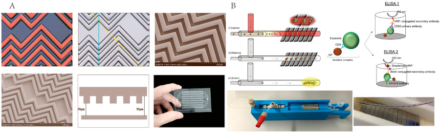 Microfluidics-Based Exosome Isolation Service