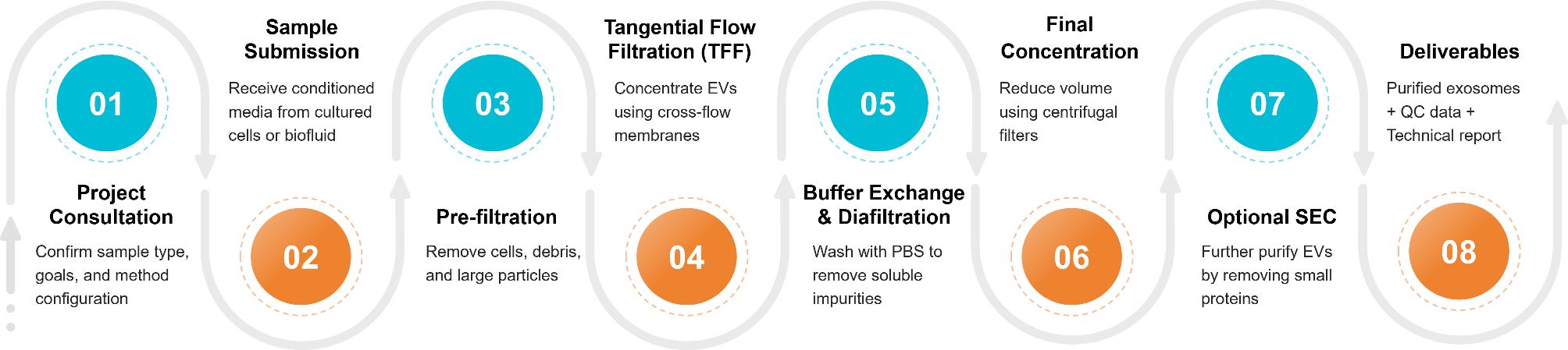 Workflow diagram showing tangential flow filtration process for exosome isolation from consultation to purified vesicle delivery.