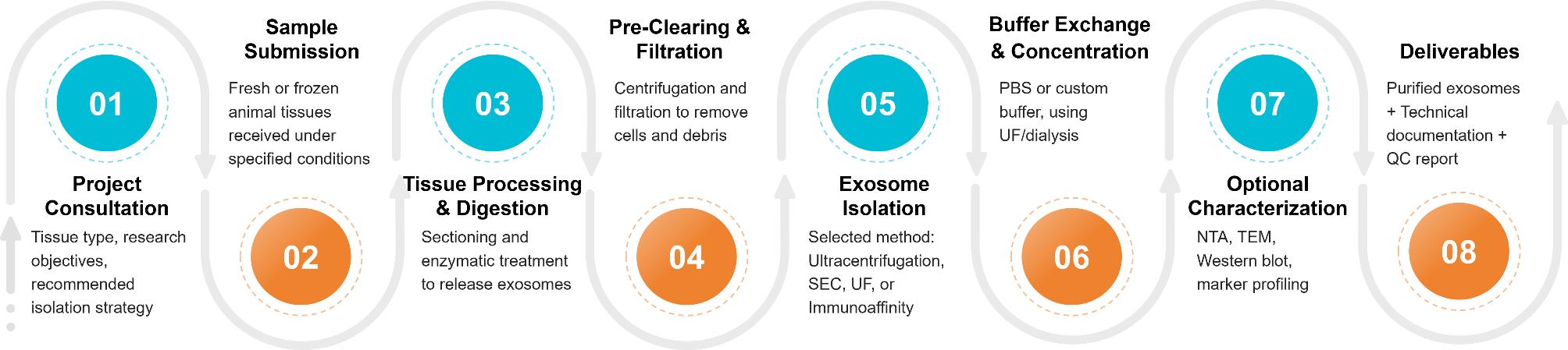 Workflow for isolating exosomes from tissues, including processing, isolation, buffer exchange, and optional QC.