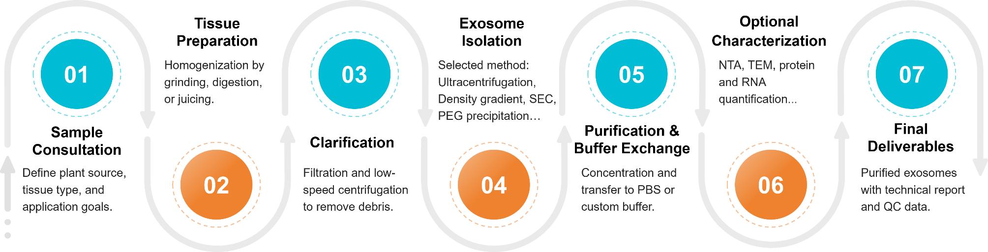 Workflow for isolating exosomes from plant tissues or juices, including processing, purification, and optional quality control.