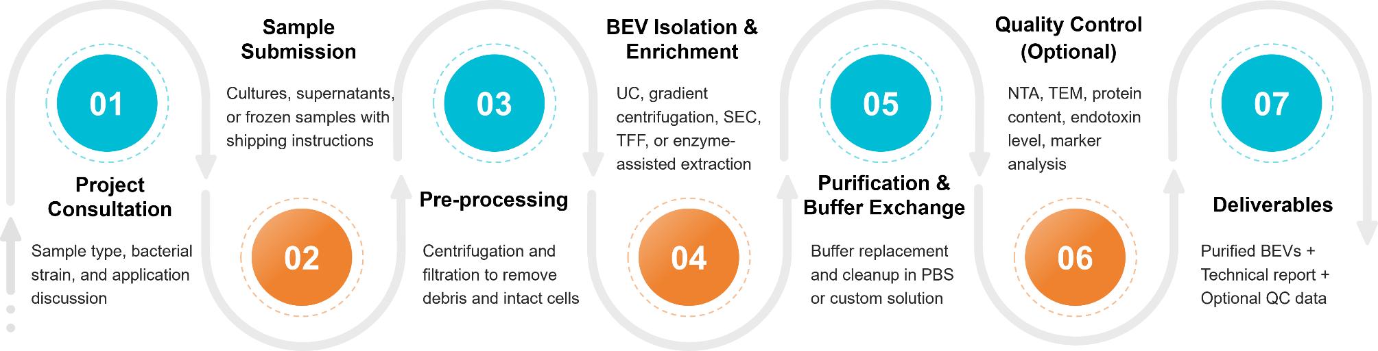 Workflow for isolating extracellular vesicles from bacterial cultures using centrifugation and filtration, with optional QC and buffer exchange.