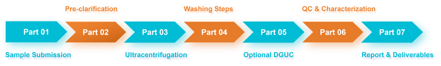 Workflow illustrating exosome isolation and purification steps using ultracentrifugation.