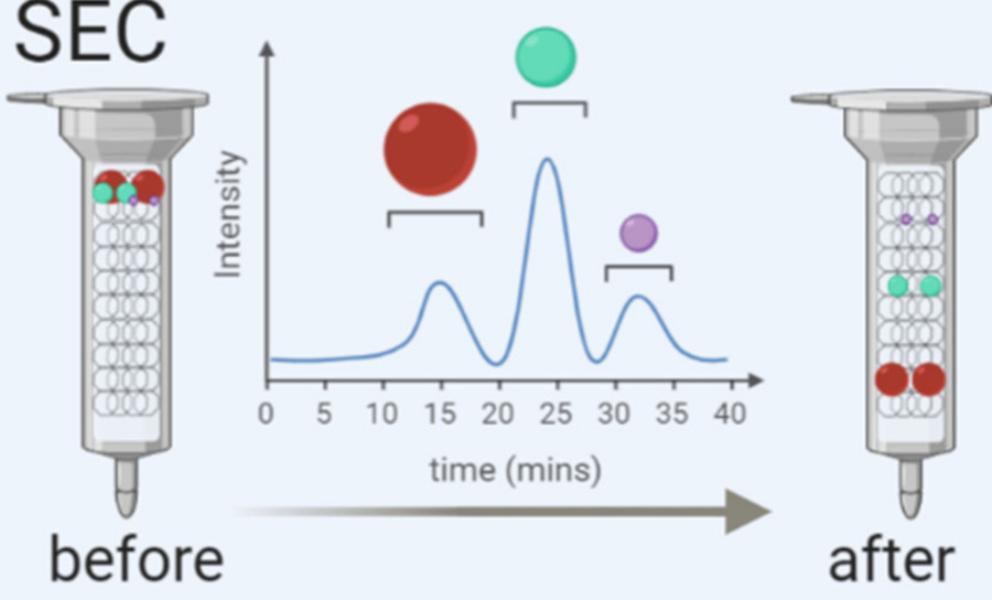 Size Exclusion Chromatography (SEC)-Based Exosome Purification Service