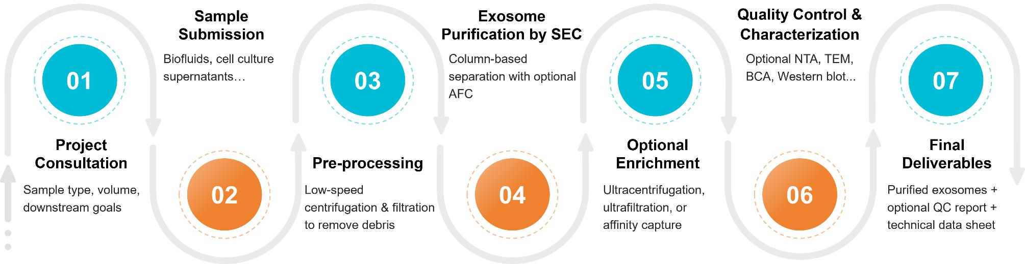 Workflow diagram of exosome purification using size exclusion chromatography.