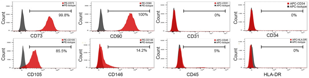 Flow cytometry detecting exosome surface markers CD73, CD90, CD105, CD146, CD31, CD34, and CD45.