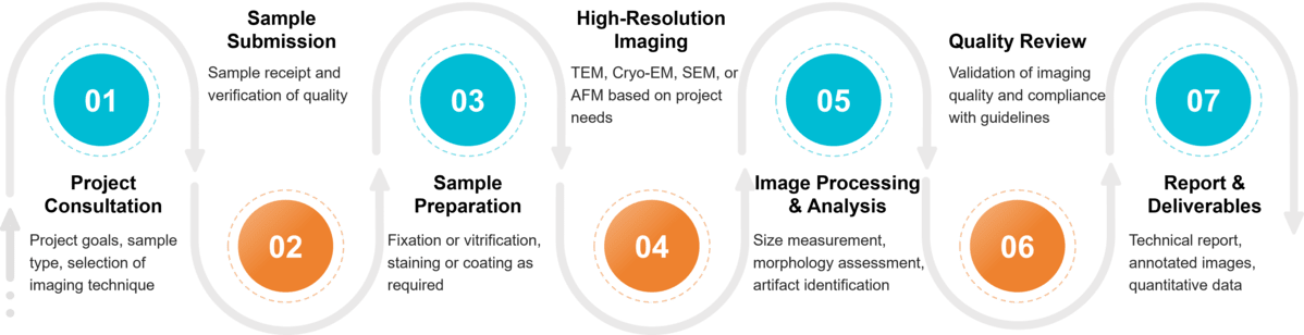 Workflow for exosome morphology analysis from sample preparation to imaging and data reporting.