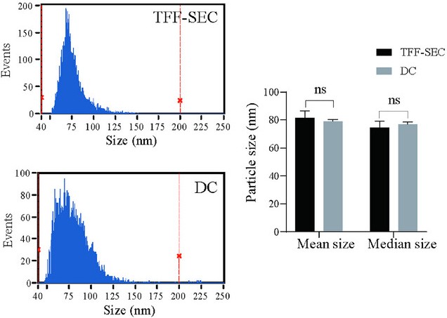 NanoFCM analysis of MK-Exo size and concentration prepared by TFF-SEC and differential centrifugation.