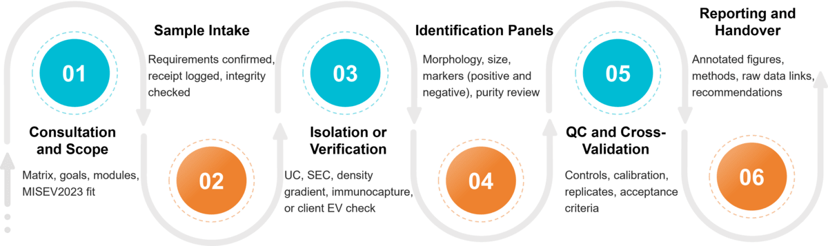 Workflow for exosome identification from isolation and marker assays to data analysis and reporting.