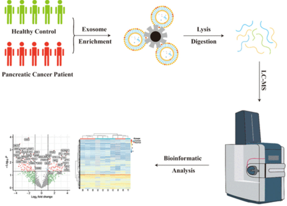 Mass Spectrometry-Based Exosome Characterization Service