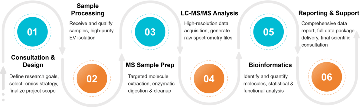 Stepwise workflow for exosome characterization using mass spectrometry (MS).