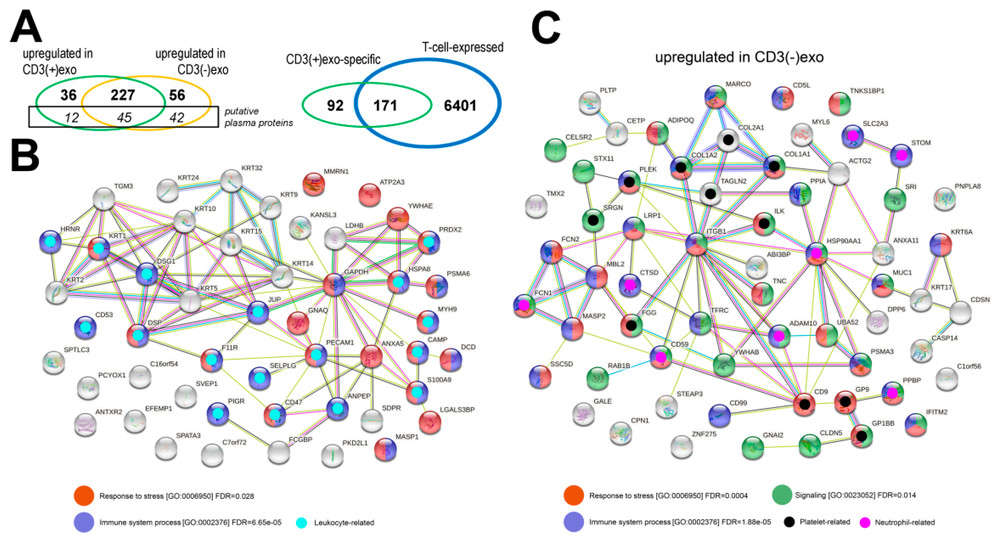 Proteomic comparison of CD3(+) and CD3(-) plasma sEVs showing Venn diagrams and functional protein networks via STRINGdb.