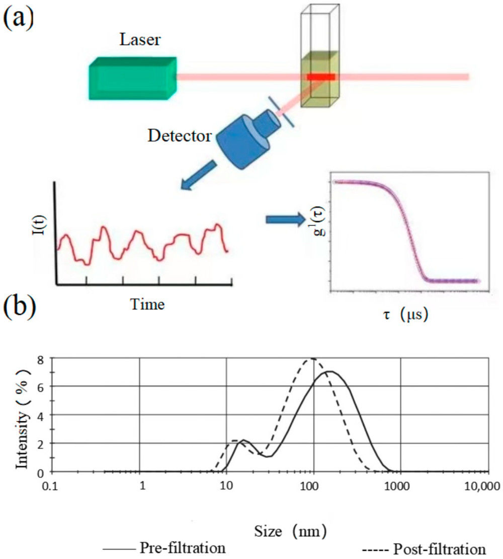 Dynamic Light Scattering (DLS)-Based Exosome Characterization Service