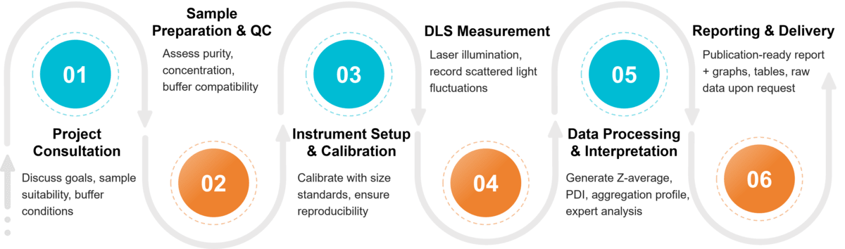 Workflow for exosome size distribution and polydispersity analysis using DLS.