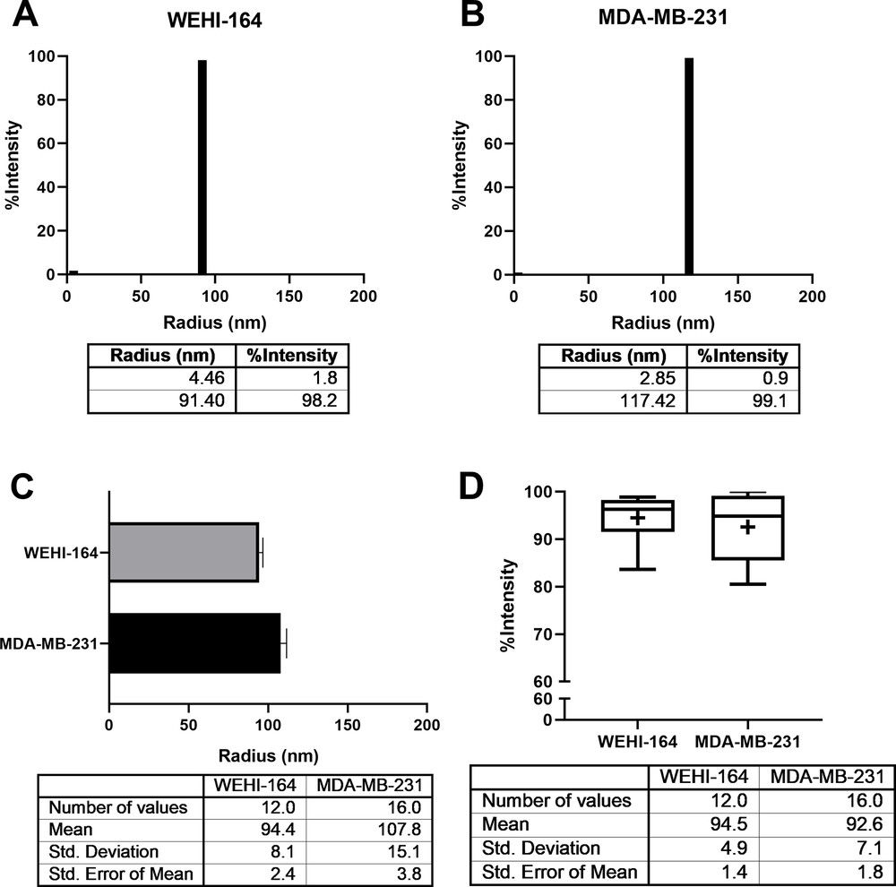 DLS analysis showing size distribution and mean radius of exosomes from WEHI-164 and MDA-MB-231 cell lines.