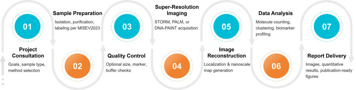 Workflow for exosome super-resolution imaging by SMLM (STORM/PALM) with quantitative single-molecule analysis.