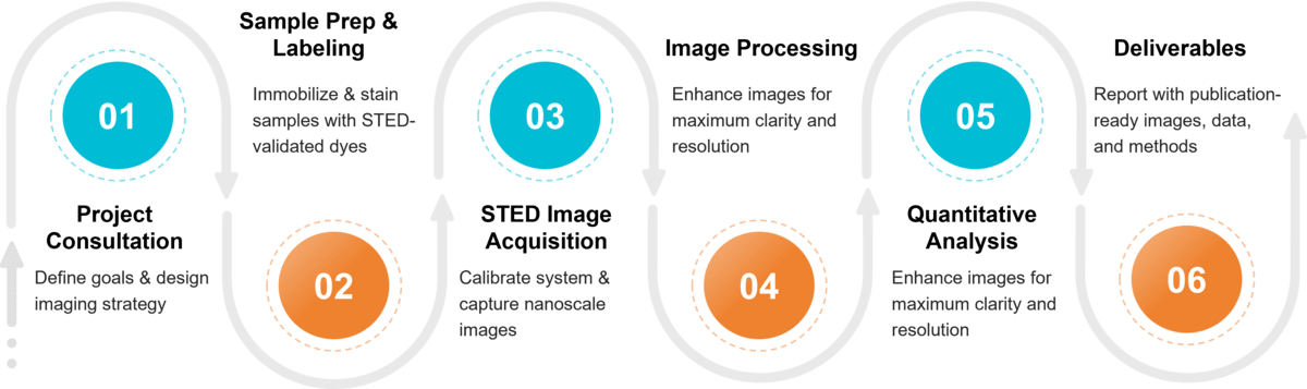 Workflow for exosome imaging by STED microscopy from labeling and preparation to super-resolution imaging and analysis.
