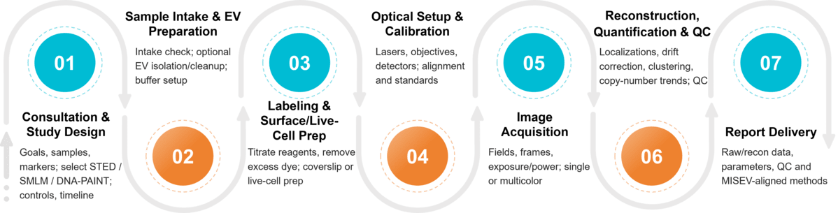 Workflow for exosome super-resolution imaging (STED/STORM/PALM/SIM) from labeling and imaging to reconstruction and analysis.