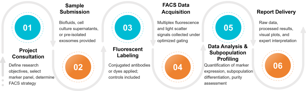 Workflow for exosome characterization using fluorescence-activated cell sorting (FACS).
