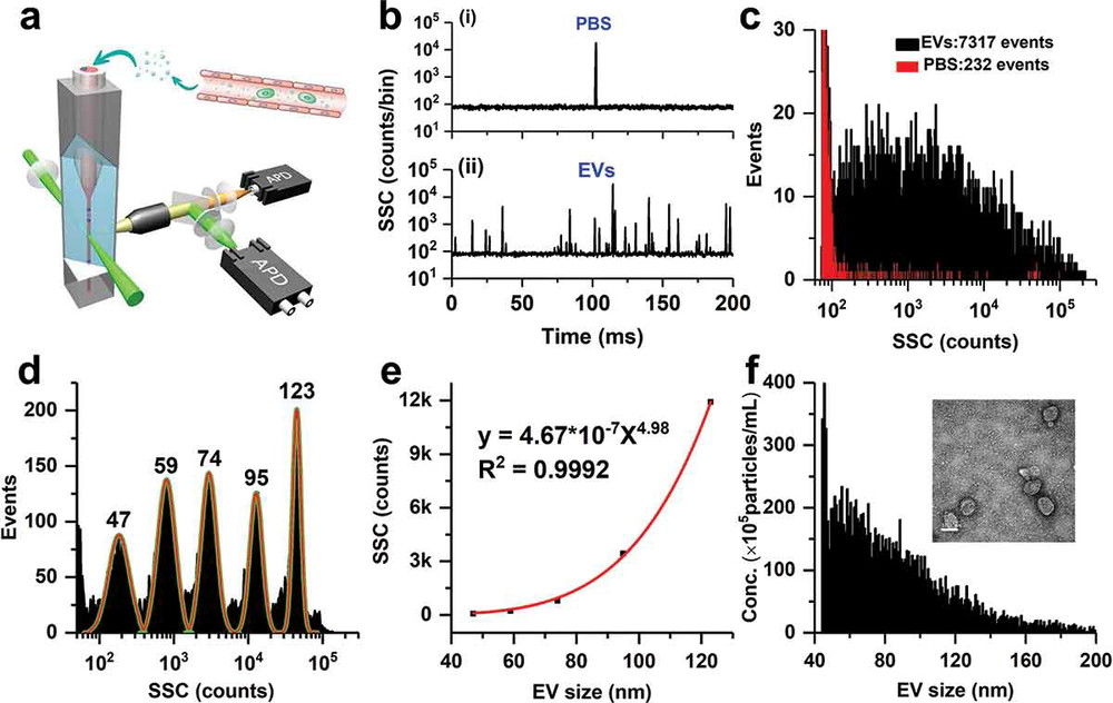 Nano-Flow Cytometry (nFCM)-Based Exosome Characterization Service