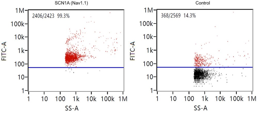 nFCM analysis of CSF exosome sample showing CD63 surface marker expression for vesicle identification.