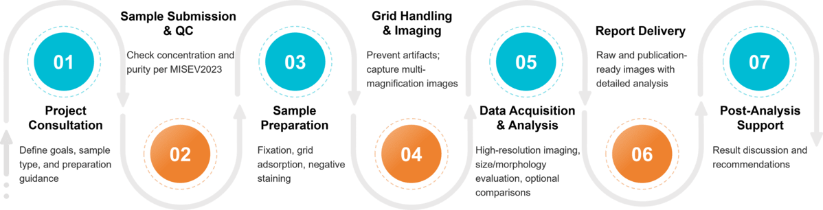 Workflow for exosome morphology analysis using TEM, from sample prep and staining to imaging and data reporting.