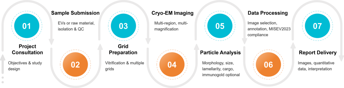 Workflow for exosome morphology analysis using Cryo-EM, from vitrification to imaging and data reporting.