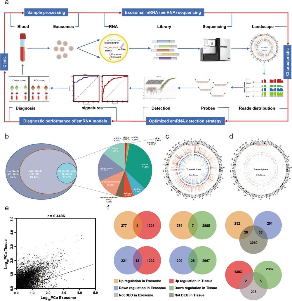 Exosomal mRNA Sequencing Service