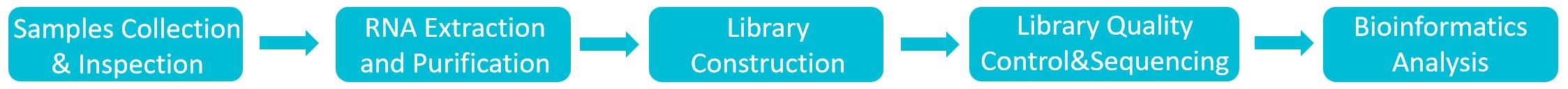 Process for exosomal mRNA sequencing analysis.