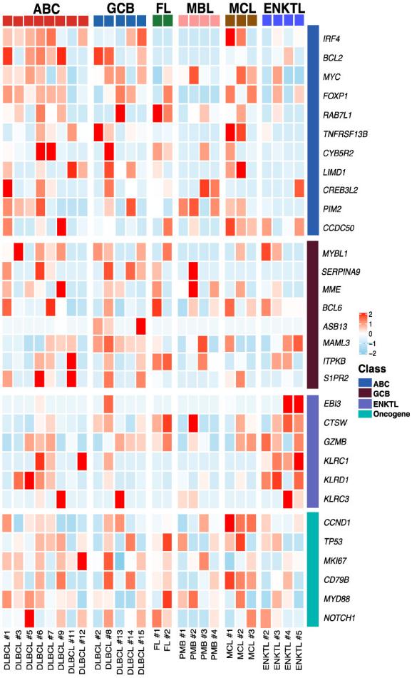 Characterization of the exosomal mRNA expression landscape in non-hodgkin lymphoma patients.