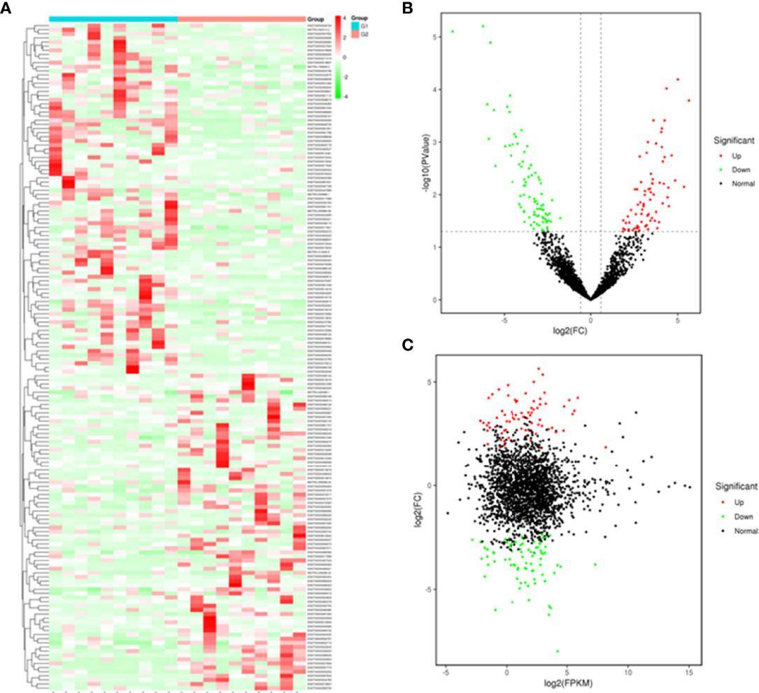 Plasma exosomal lncRNA profiling in case and control groups.