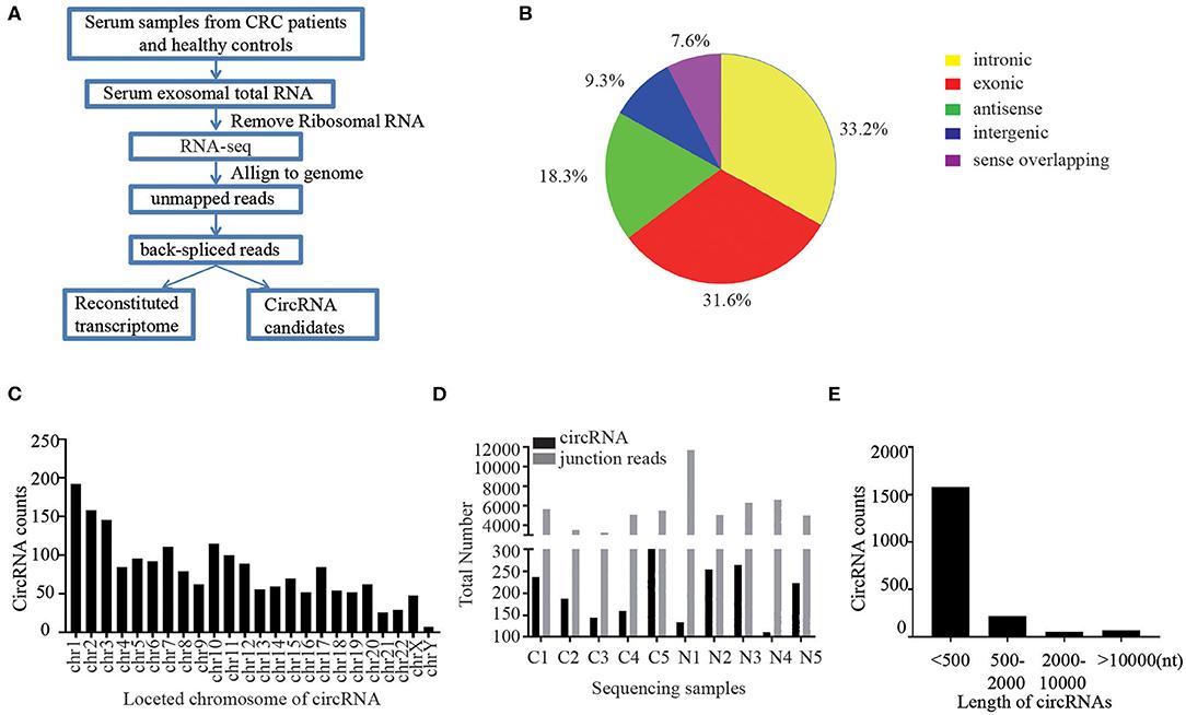 Exosomal Circular RNA (circRNA) Sequencing Service