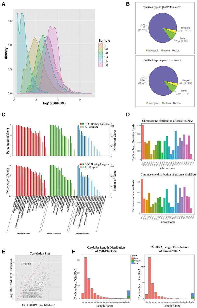 Characterization of circular RNAs derived from primary HGA exosomes.