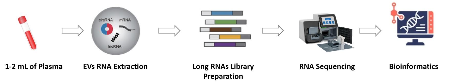 Exosomal Whole Transcriptome Sequencing Service