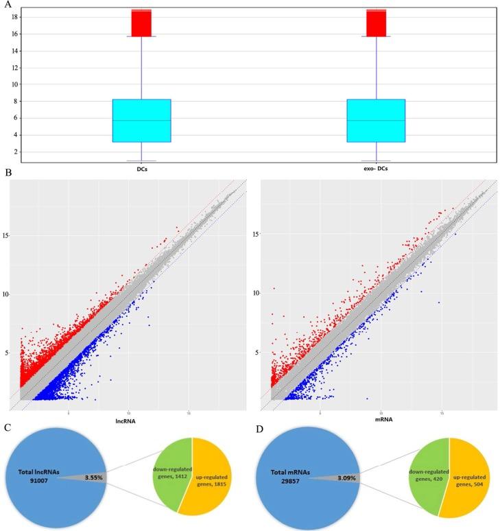 Microarray Profiling of lncRNA and mRNA in PEX-treated DCs (exo-DCs).