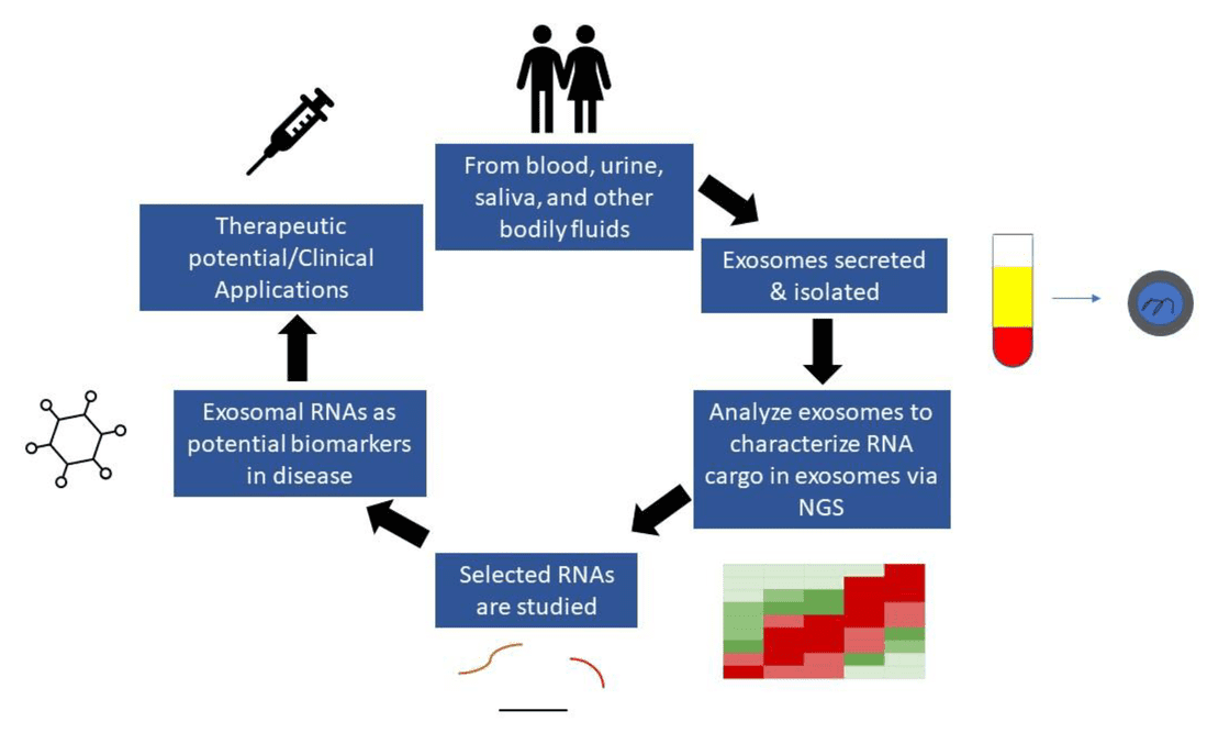 Exosome Transcriptome Profiling Services