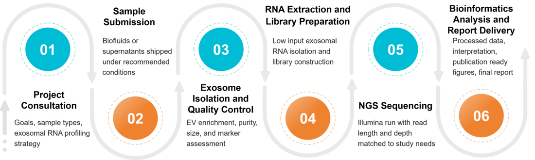 Workflow for exosome transcriptome profiling: isolation, RNA extraction, library prep, NGS sequencing, and bioinformatics reporting.