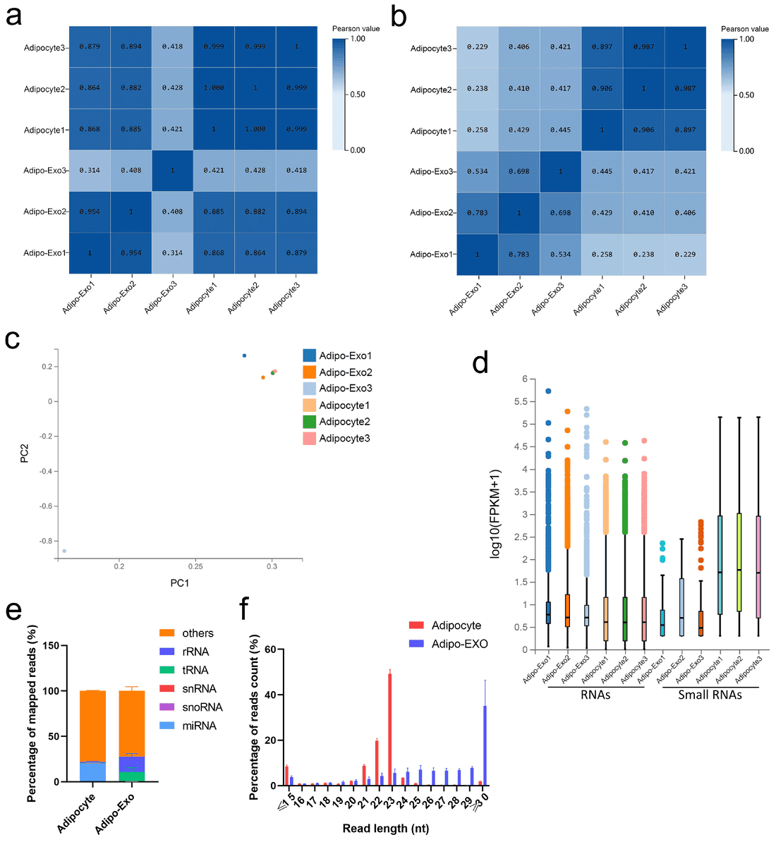 RNA-seq of adipocyte vs exosome RNAs: correlation heatmaps, PCA, RNA counts, small-RNA class ratios, length distributions (SEM).