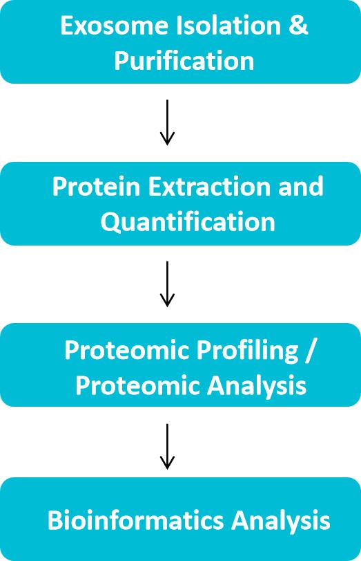 Exosome biomarker protein screening & workflow.