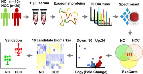 A panel of ten exosomal proteins was screened as a potential biomarker for HCC detection.