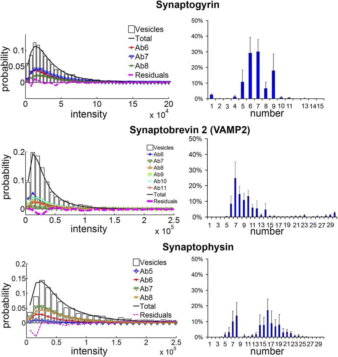 Single-Vesicle Membrane Proteomics Services