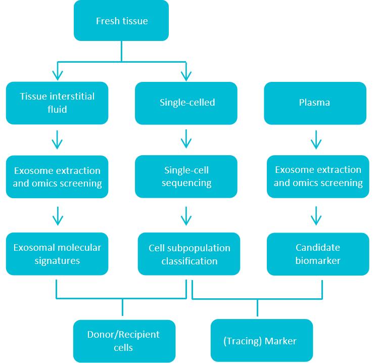 A Unified Workflow for Integrated Exosome, Single-Cell, and Tissue Analysis.