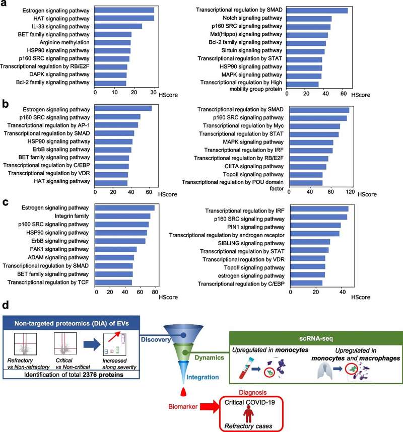 Integrated Exosome Proteomics Service with Single-Cell and Tissue Analysis
