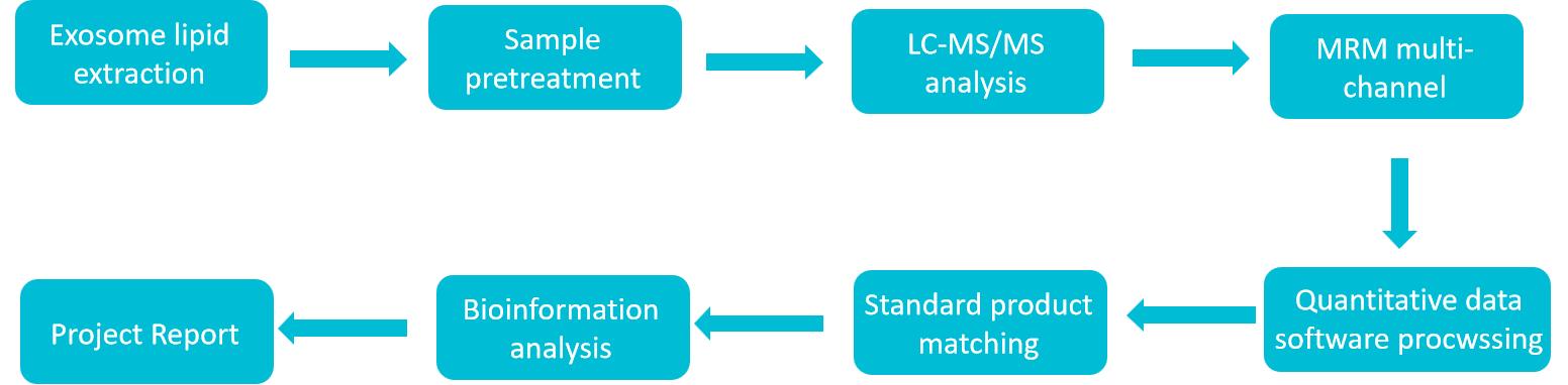 Workflow for human exosomal lipidomics analysis services.