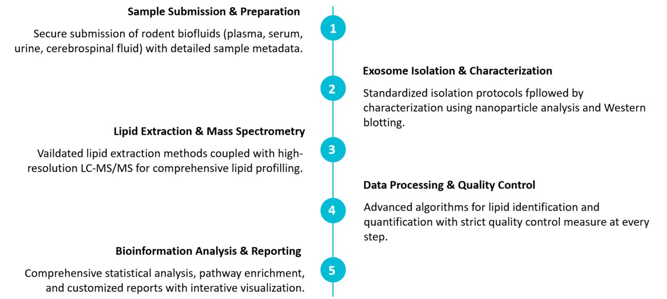 Lipidomic profiling pipeline for rodent exosomes.