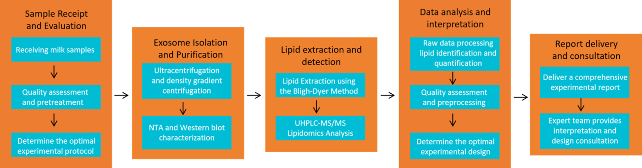 Workflow for milk exosomal lipidomics analysis.