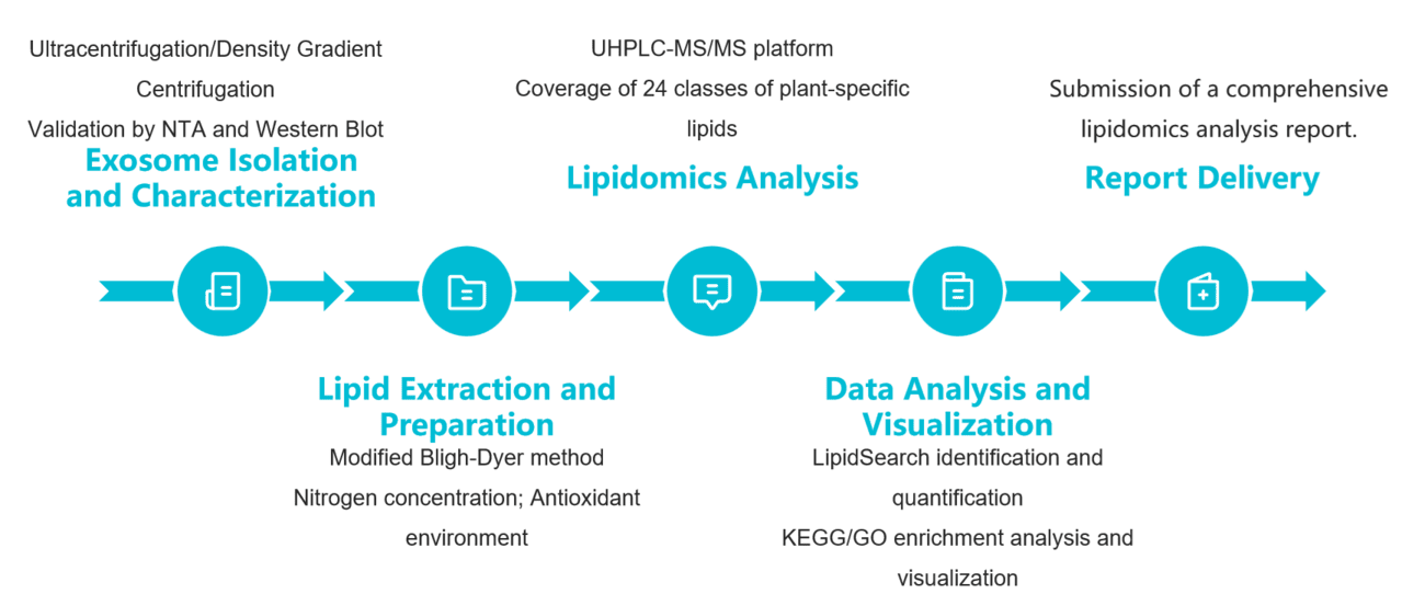 Plant exosome lipidomics analysis workflow.
