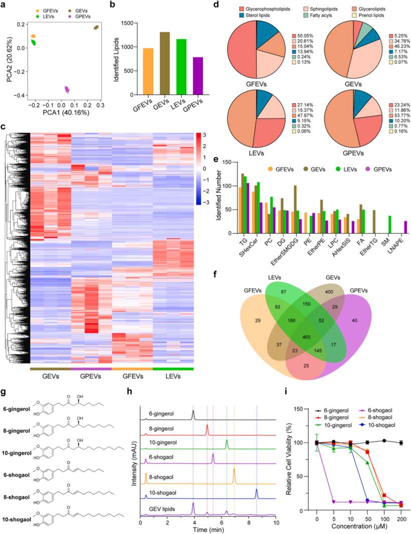 Comparative lipidomic profiling of plant extracellular vesicles.
