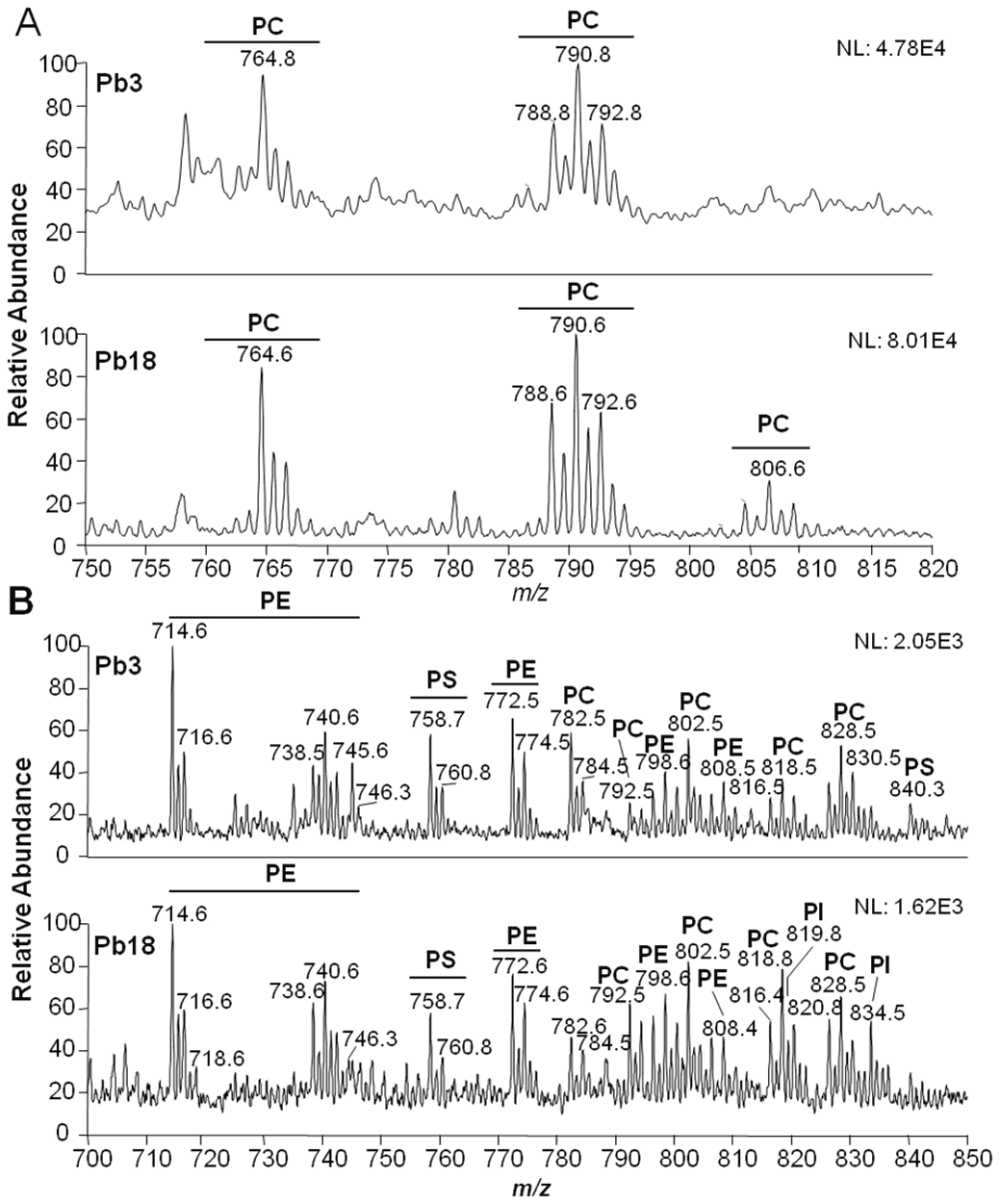 Yeast Exosome Lipidomics Analysis Service